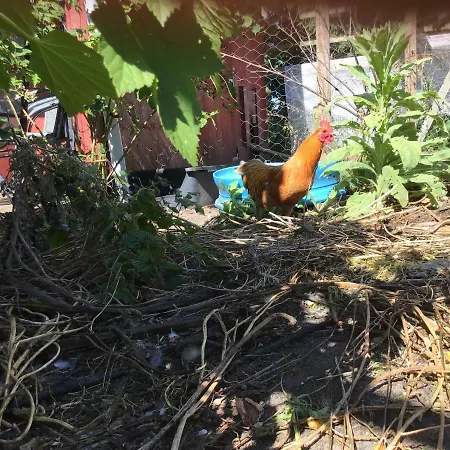 Vejlen Bed & Kitchen * Vadum (Aalborg)