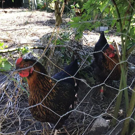 Vejlen Bed & Kitchen Apartamento