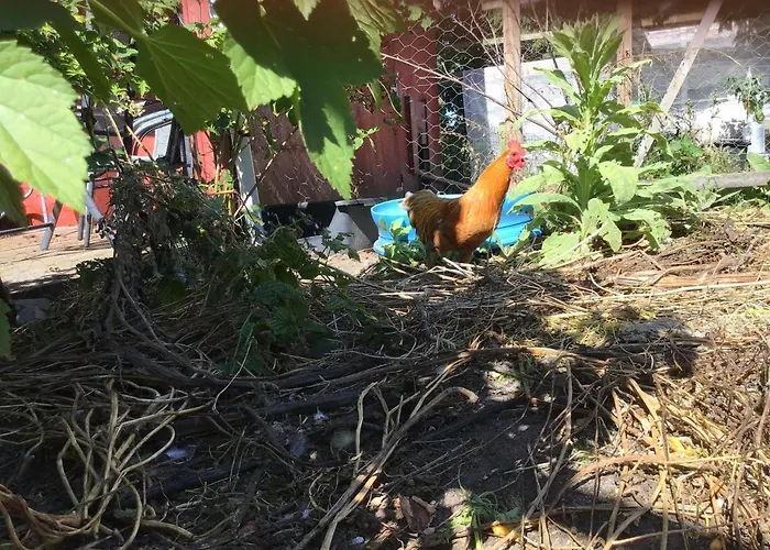 Vejlen Bed & Kitchen * Vadum (Aalborg)